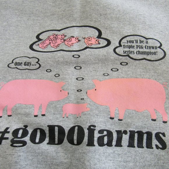 Women's -  Size L, Gray, Pullover Sweatshirt Pig Dreams Barn Yard Farm Graphics - Picture 3 of 5